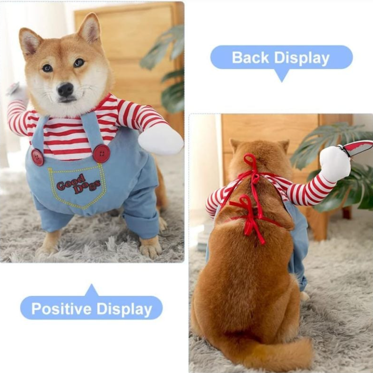 Pets Halloween 3-piece Set