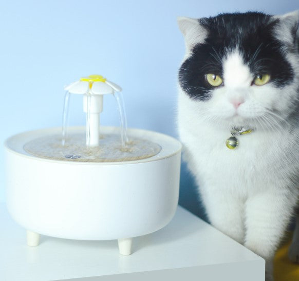 Self-Filtering Pet Water Fountain — 1200mL, Ultra-Quiet, USB Powered