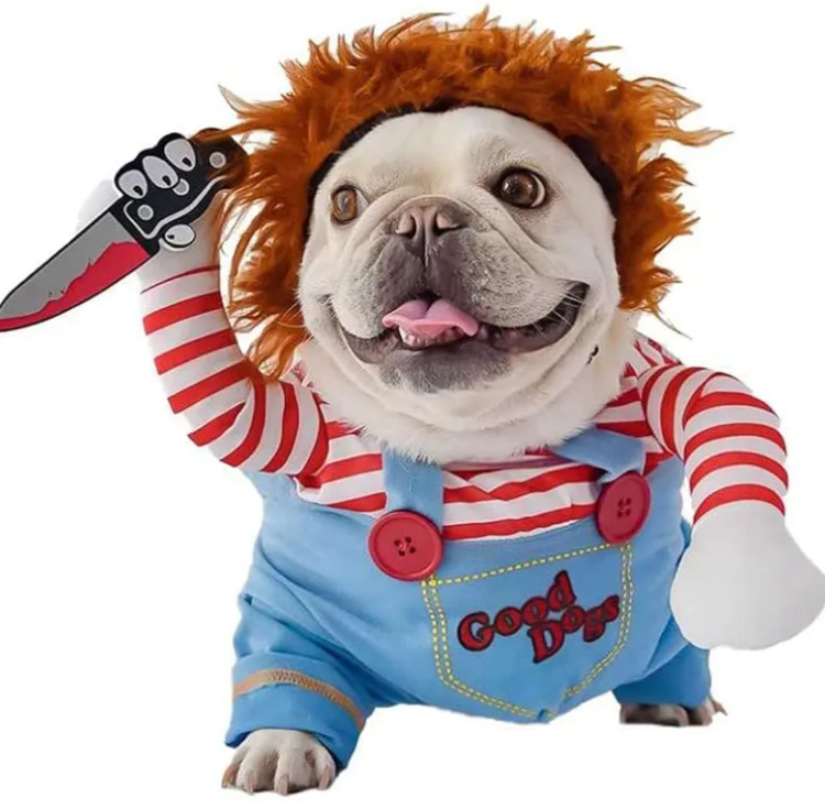 Pets Halloween 3-piece Set