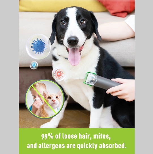 Groom & Vacuum at Once — 4-in-1 Pet Grooming Kit with 1.2L Dust Cup